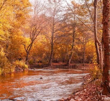 The Riverburrow