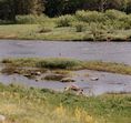 The Riverburrow