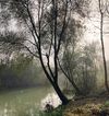 The Riverburrow