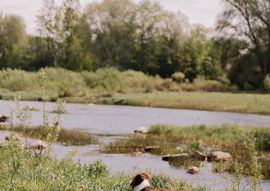 The Riverburrow