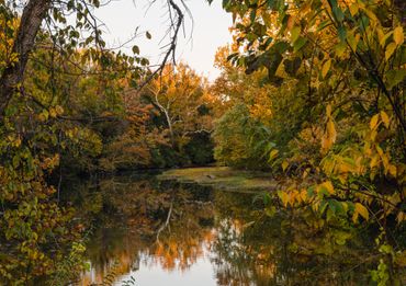 The Riverburrow