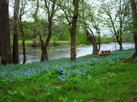 The Riverburrow