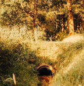 The Riverburrow