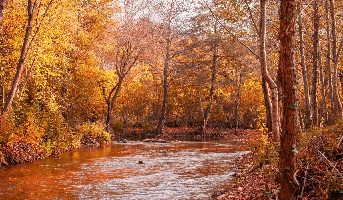 The Riverburrow