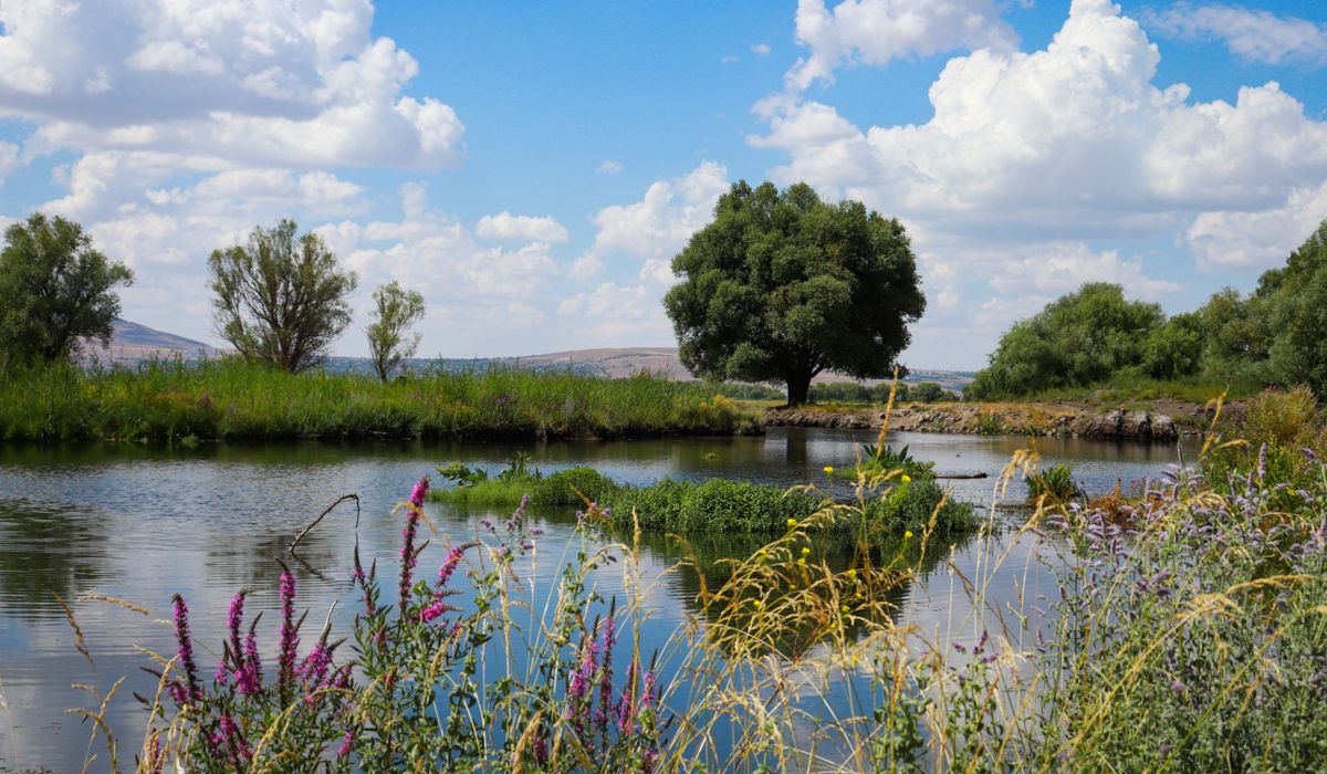 The Riverburrow