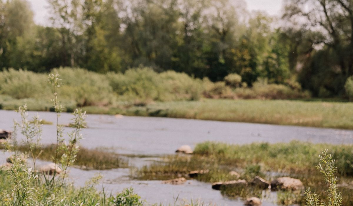 The Riverburrow