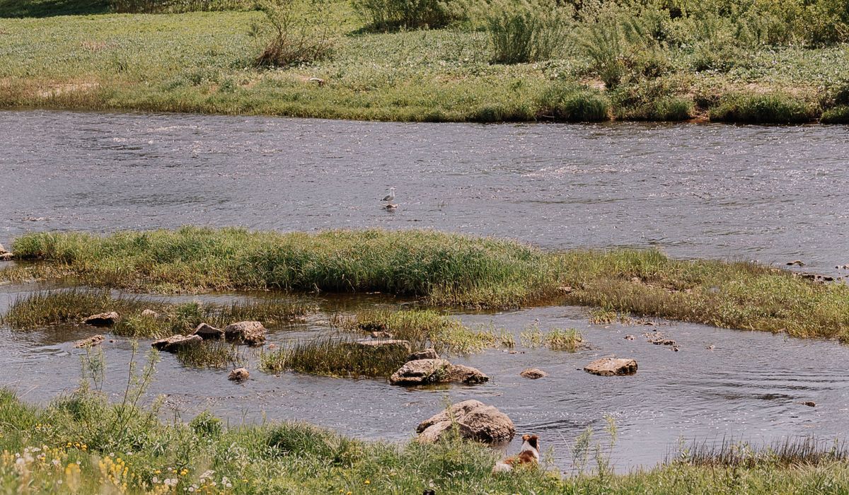 The Riverburrow